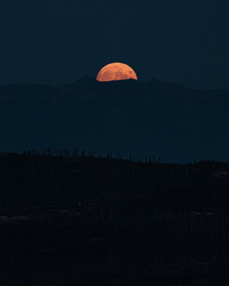 The moon over there. #sonyalpha #mountainstandard