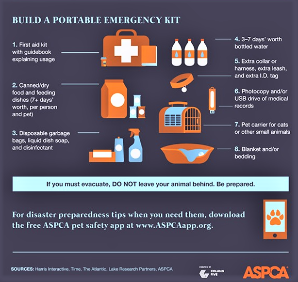 Don’t forget to have a #hurricane plan for your pet. 

Get these items ready NOW:
• Food &amp; Water
• Litter Boxes/Pee Pads
• Medical Records &amp; Medications

If you evacuate, know which hotels or shelters accept fur babies.

Thanks to <a href="/ASPCA/">ASPCA</a> for these helpful tips.

#HurricaneIan