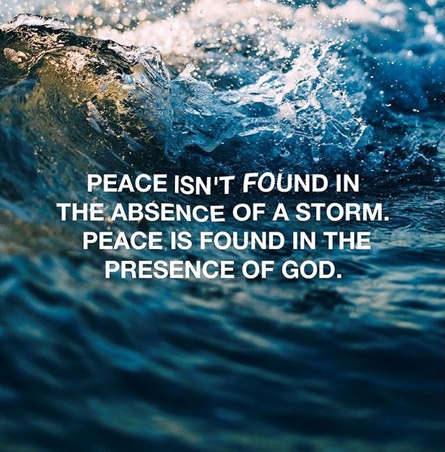 SEYFair's tweet photo. Prayers for protection and peace to all of our families, friends, and livestock! We'll see you on the other side. :) https://t.co/2UzzRvvFDx