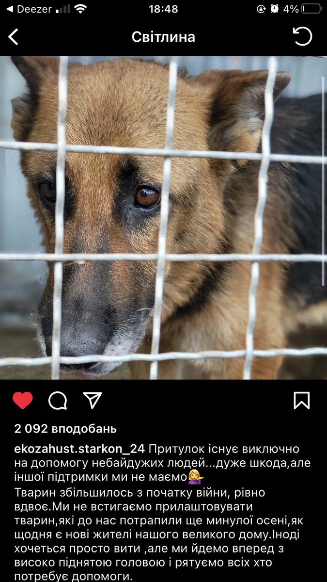 barbarabillyyy's tweet photo. ПРИТУЛОК ДЛЯ ТВАРИН ПОТРЕБУЄ ДОПОМОГИ‼️ https://t.co/f3qZOLNw7P