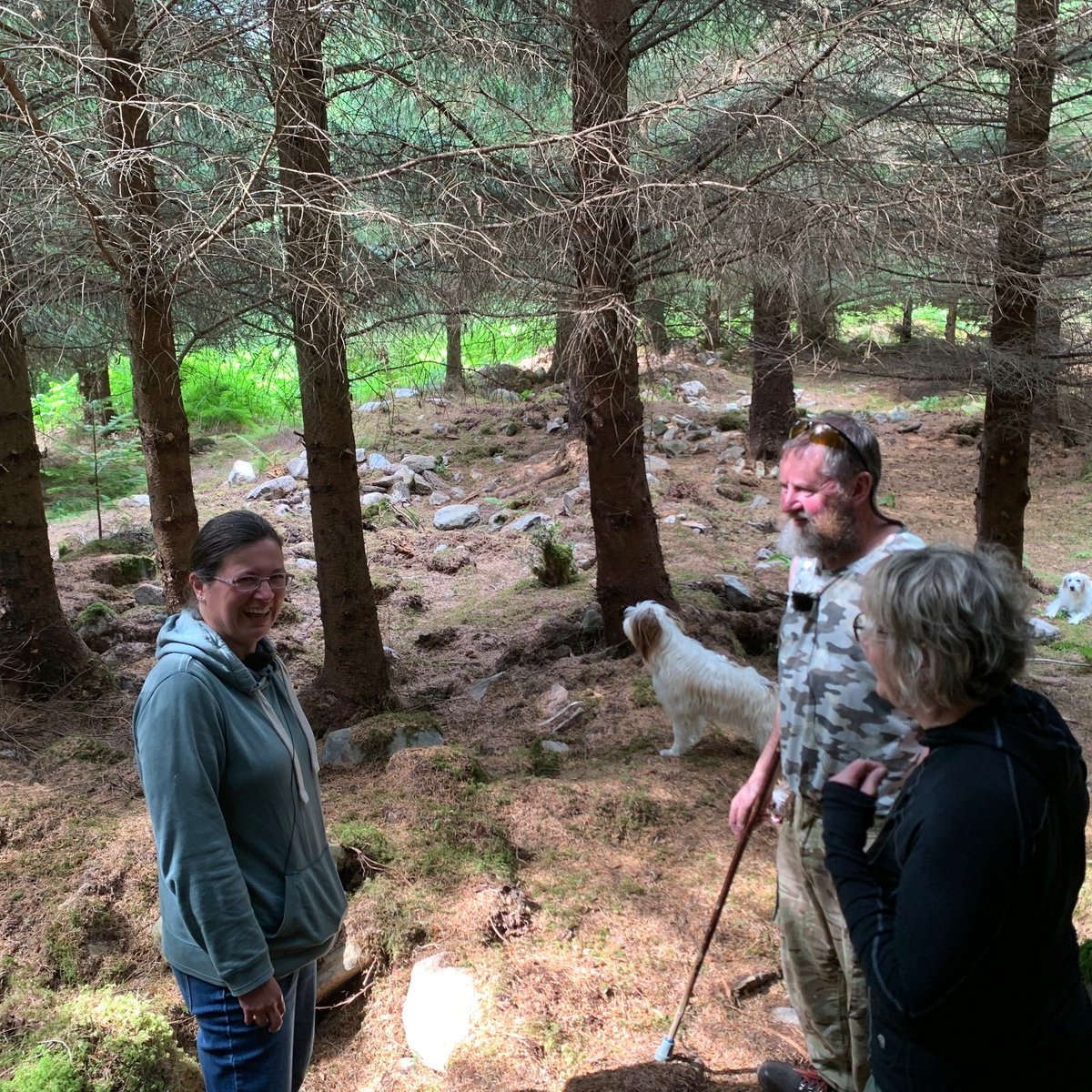 UHIHistory's tweet photo. Dr Ritchie standing midst of what remains of a street of houses at Inverlael, visiting the site as research for the 'Hidden in Plain Sight' project through @UllapoolMuseum. The project is on-going, and we will keep you posted for further details! @UHI_Research https://t.co/QcM7Qncqa8