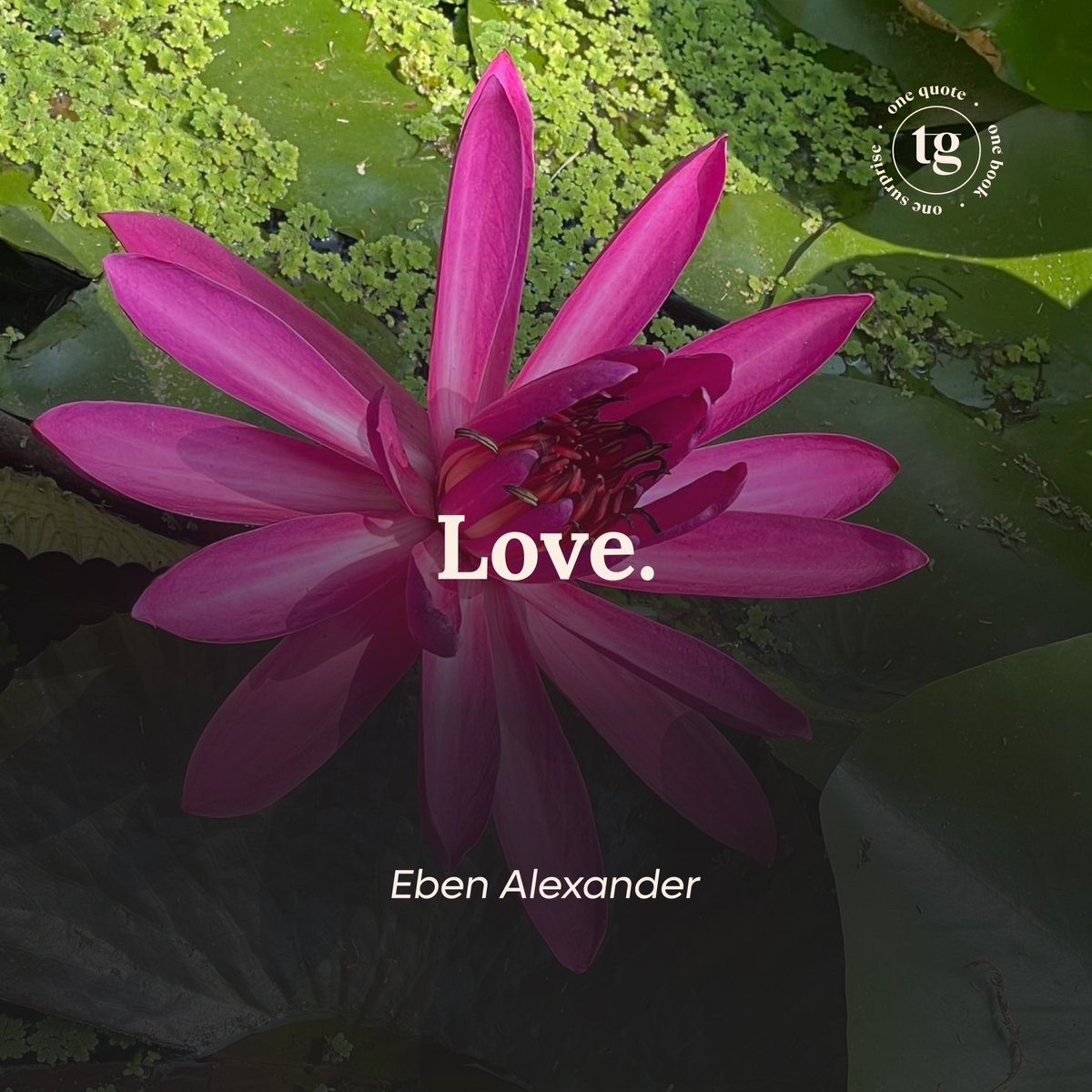triggui_'s tweet photo. #OneQuote | Del libro <La Prueba del Cielo> del neurocirujano Eben Alexander, basado en la experiencia que tuvo durante 7 días en coma.

En este libro conocerás toda su experiencia y comprenderás que nos espera más allá de la vida.

#EbenAlexander #Triggui #lapruebadelcielo https://t.co/XBN5mJP5bl