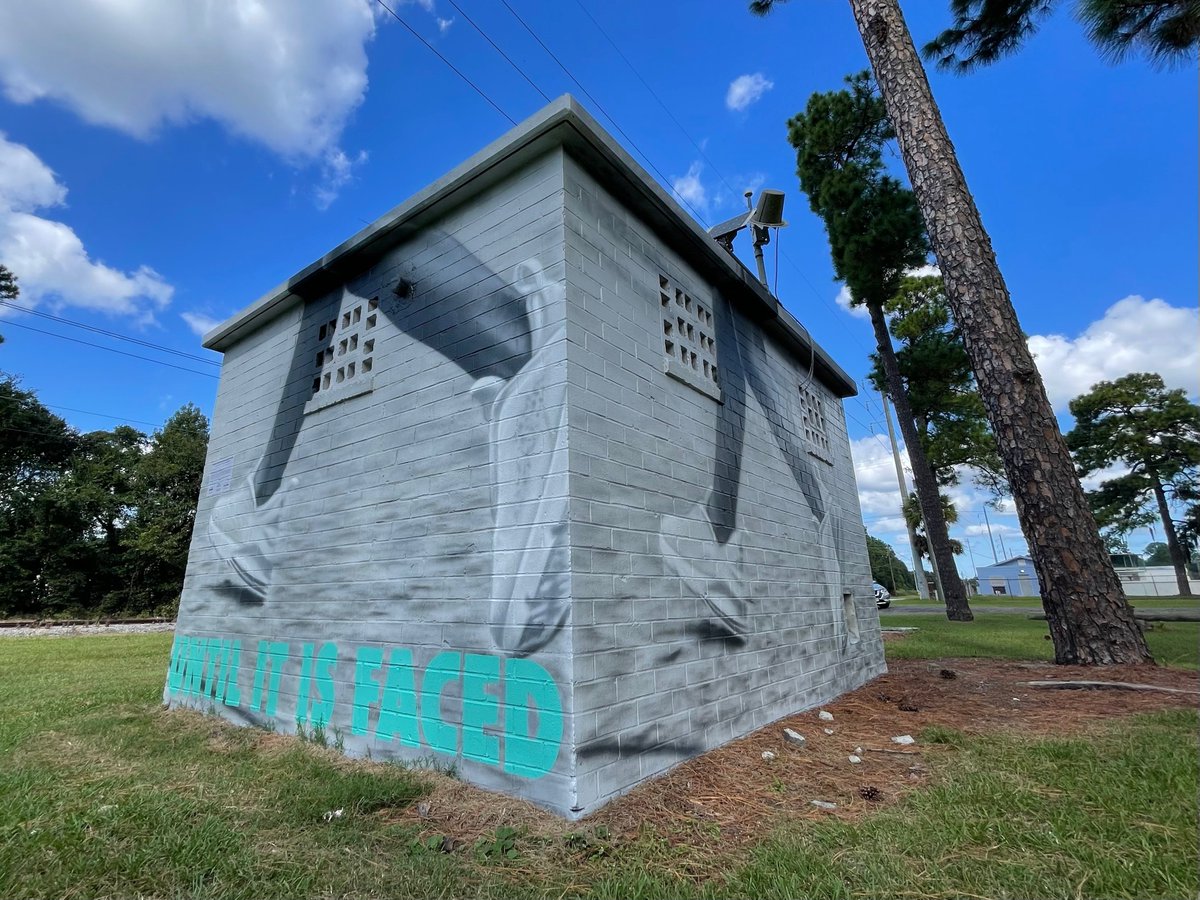 livingwallsatl's tweet photo. 1/3 of our newest murals with @NewGAProject in honor of #AhmaudArbery 

mural by @shepreebright, painted by @bkfoxx 
📍Ahmaud Arbery Park - Brunswick, Ga

"Not everything that is faced can be changed, but nothing can be faced until it is changed." - James Baldwin https://t.co/X2jkfh3wGc