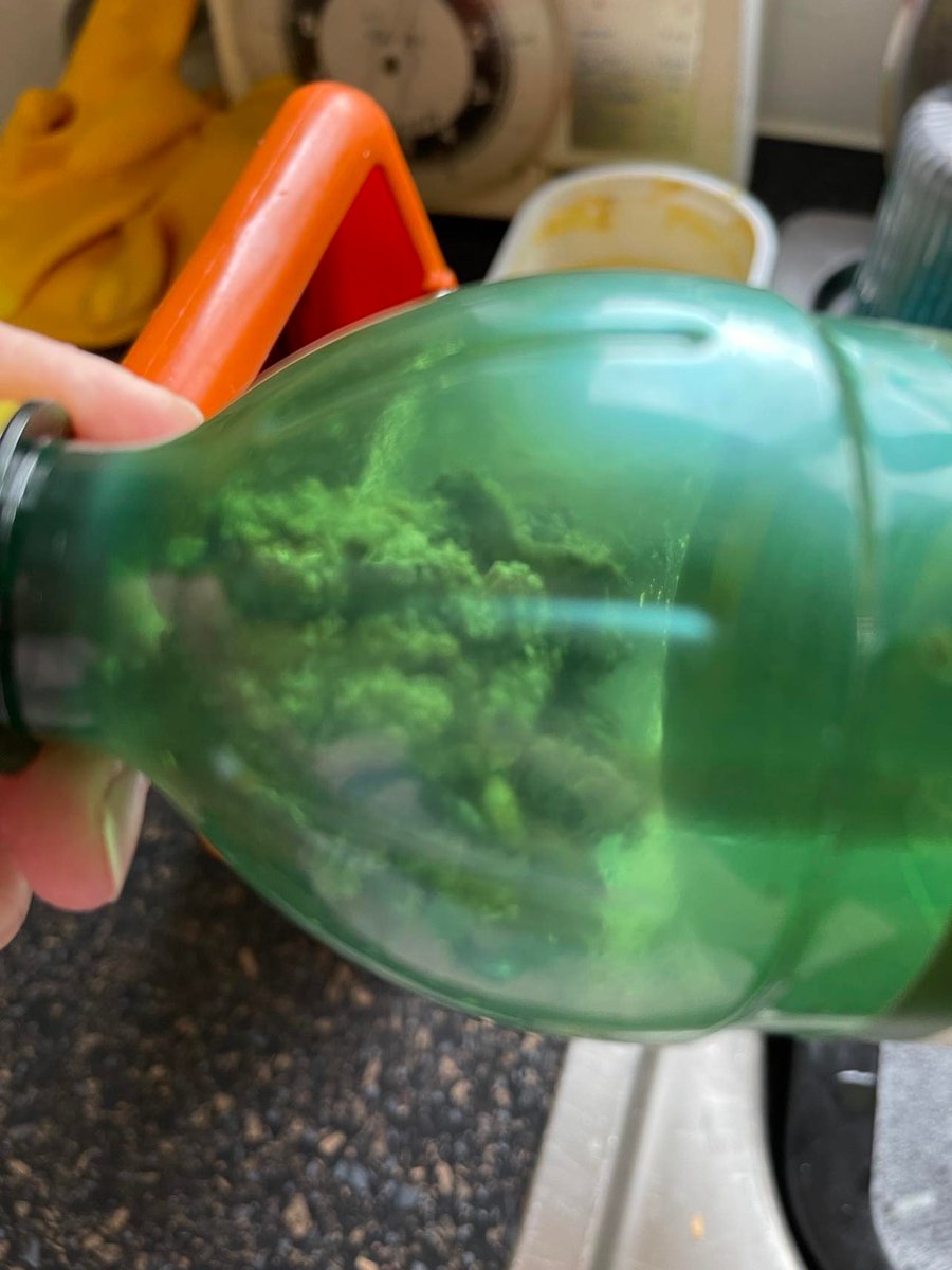 Tez Illustrator tweet media