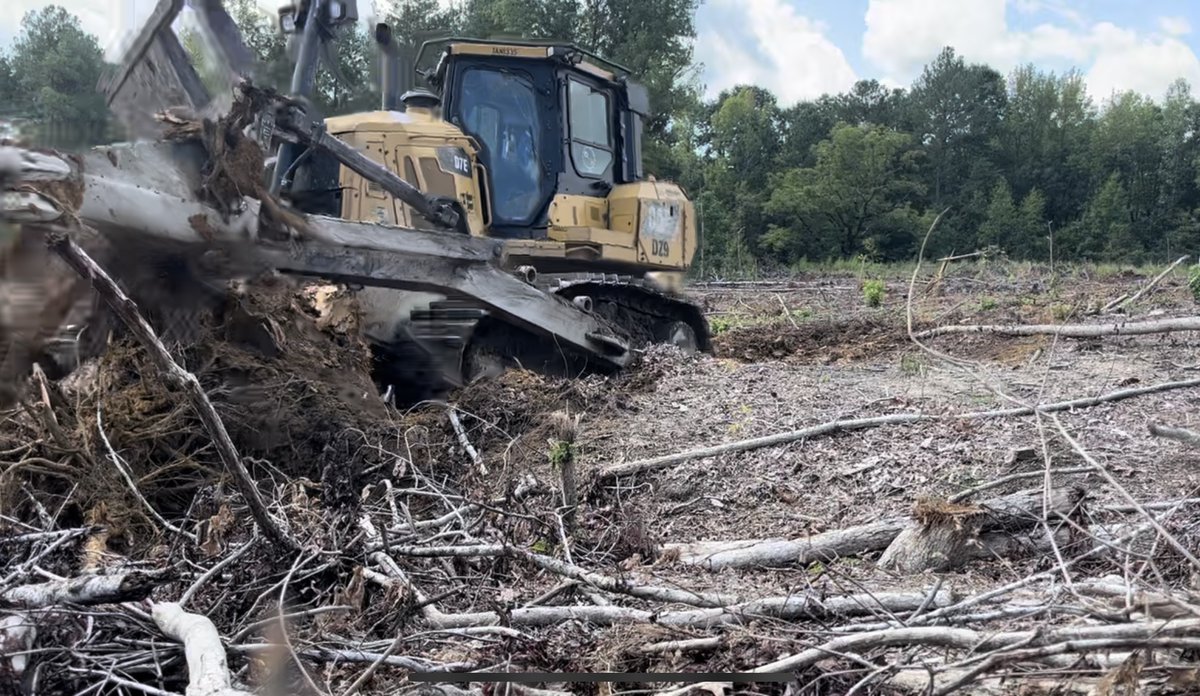 djloggingnc's tweet image. Clearing stumps part 2 💪

#logging #clearing #timber