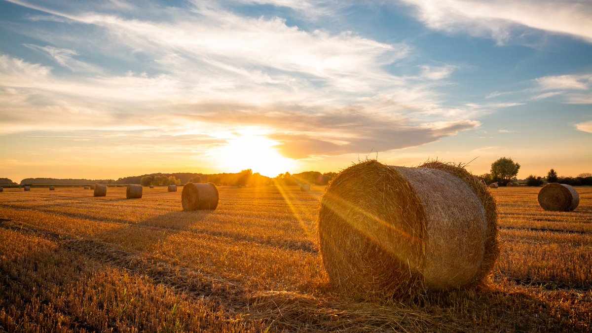 For the latest rural business news &amp; upcoming events that have piqued my interest, head over to rbn.org.uk/journal

They include:

👉 Government reiterates commitment to environmental protections
👉 £110m fund to level up rural communities announced

#RuralBusinessNetwork