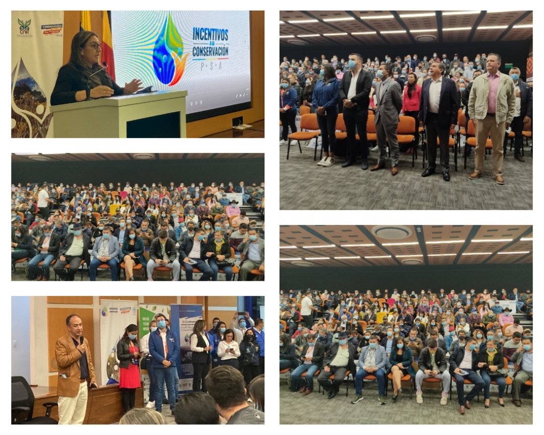 SBVerdeCund's tweet photo. #AEstáHora nuestra Secretaria del Ambiente @NidiaRianor da inicio al evento de #IncentivosALaConservación, PSA y premiación del 3 Concurso de Educación Ambiental Actívate con tu CIDEA, programas que brindarán un entorno para la restauración de los ecosistemas. #RegiónQueProgresa. https://t.co/q7Ohi3WcIn