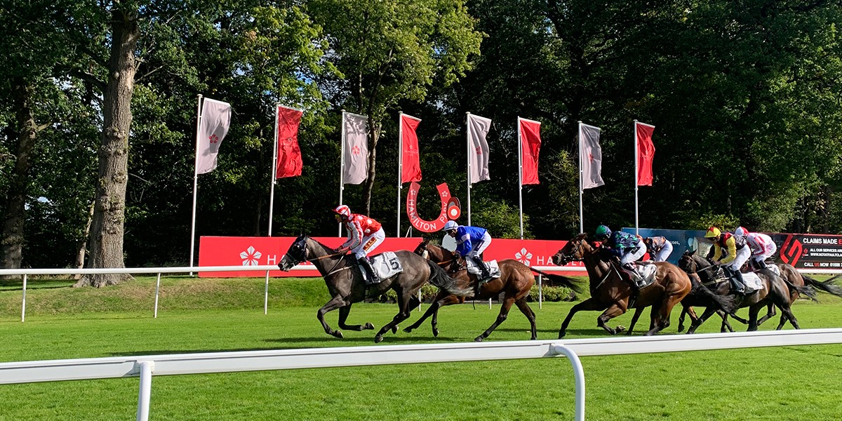 HamiltonParkRC's tweet photo. Catch up on all the racing action from our fixture finale The Maggie's Goes Racing Family Raceday
๐ Racing Report ๐ https://t.co/5yP4wd3OBY
#hamiltonraces #racingtv #racingreport https://t.co/LjvmKFRBZc