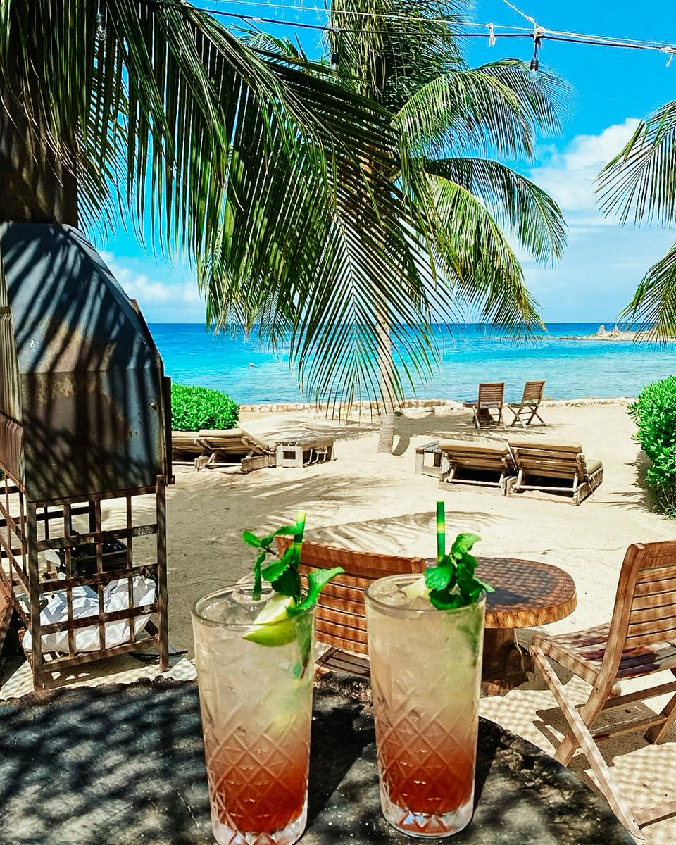 cheapcaribbean's tweet photo. The perfect view. Palm trees, sand and cocktails! Who are you sharing it with?

📷: https://t.co/fr4nPuP7rg https://t.co/KhGJS59QF9