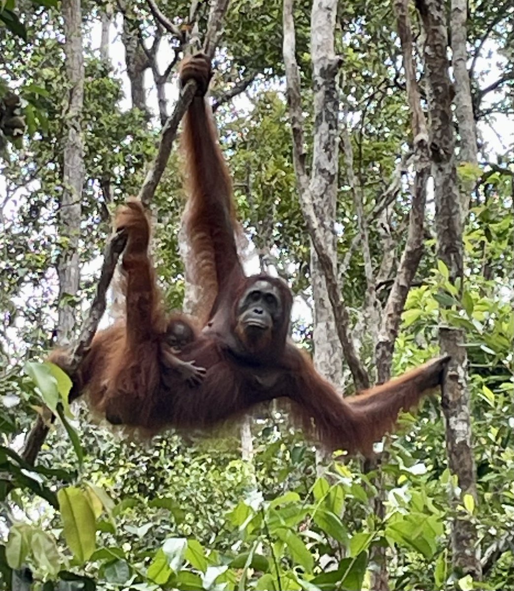 Alice Arnold💙 tweet media