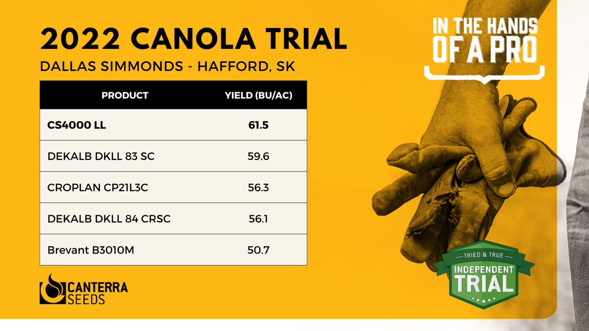CS4000 LL LibertyLink® canola knocks it out of the park again in #Saskatchewan. See trial results from <a href="/raptorent/">Dallas Simmonds</a> on our website: hubs.la/Q01nl5660