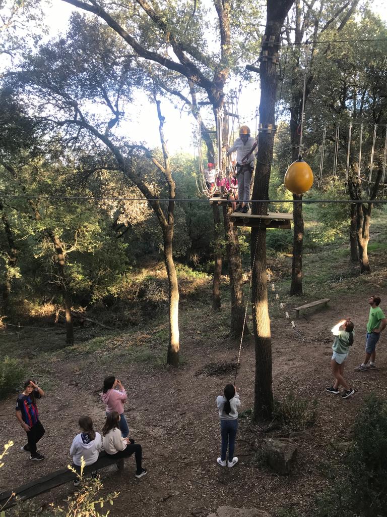 anna de dios pifarre tweet media