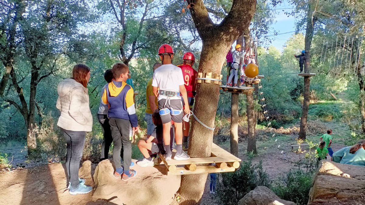 anna de dios pifarre tweet media