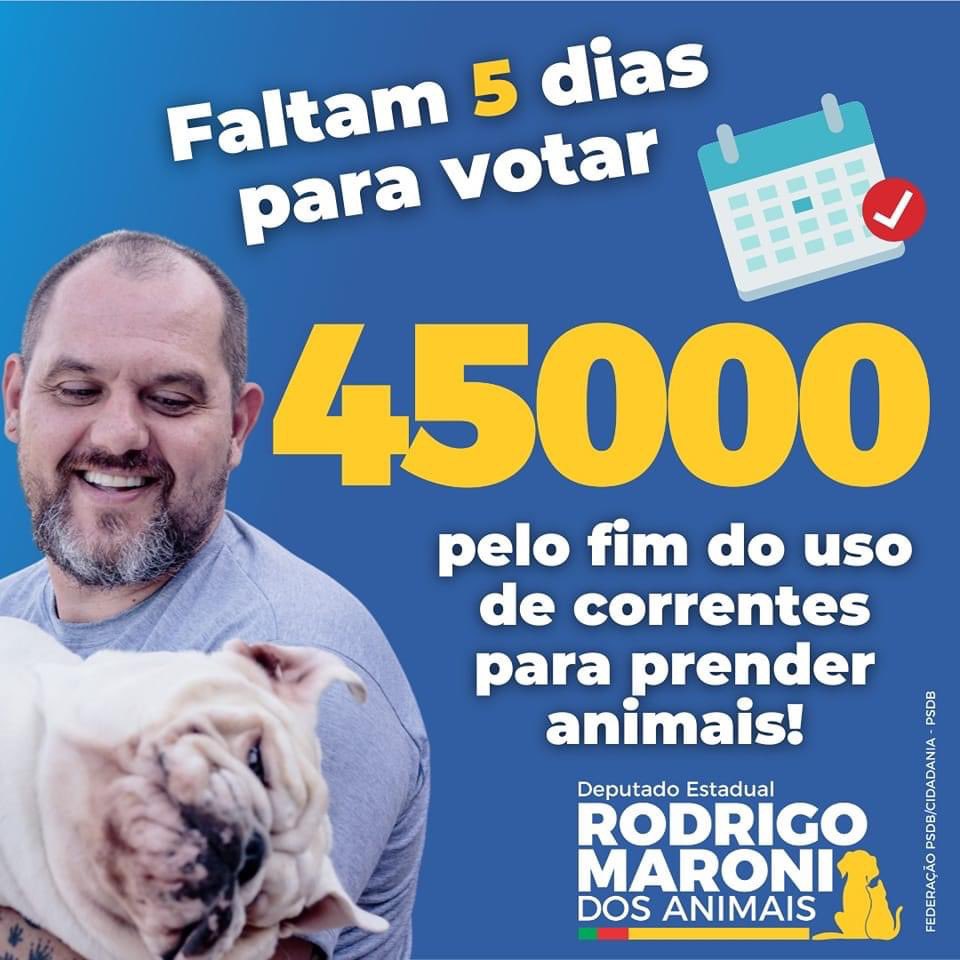 RodrigoMaroni1's tweet photo. Faltam 5 dias.

Para mantermos o único Deputado dos Animais na Assembleia Legislativa. ✅

4️⃣5️⃣0️⃣0️⃣0️⃣ https://t.co/yCdKXr2dya