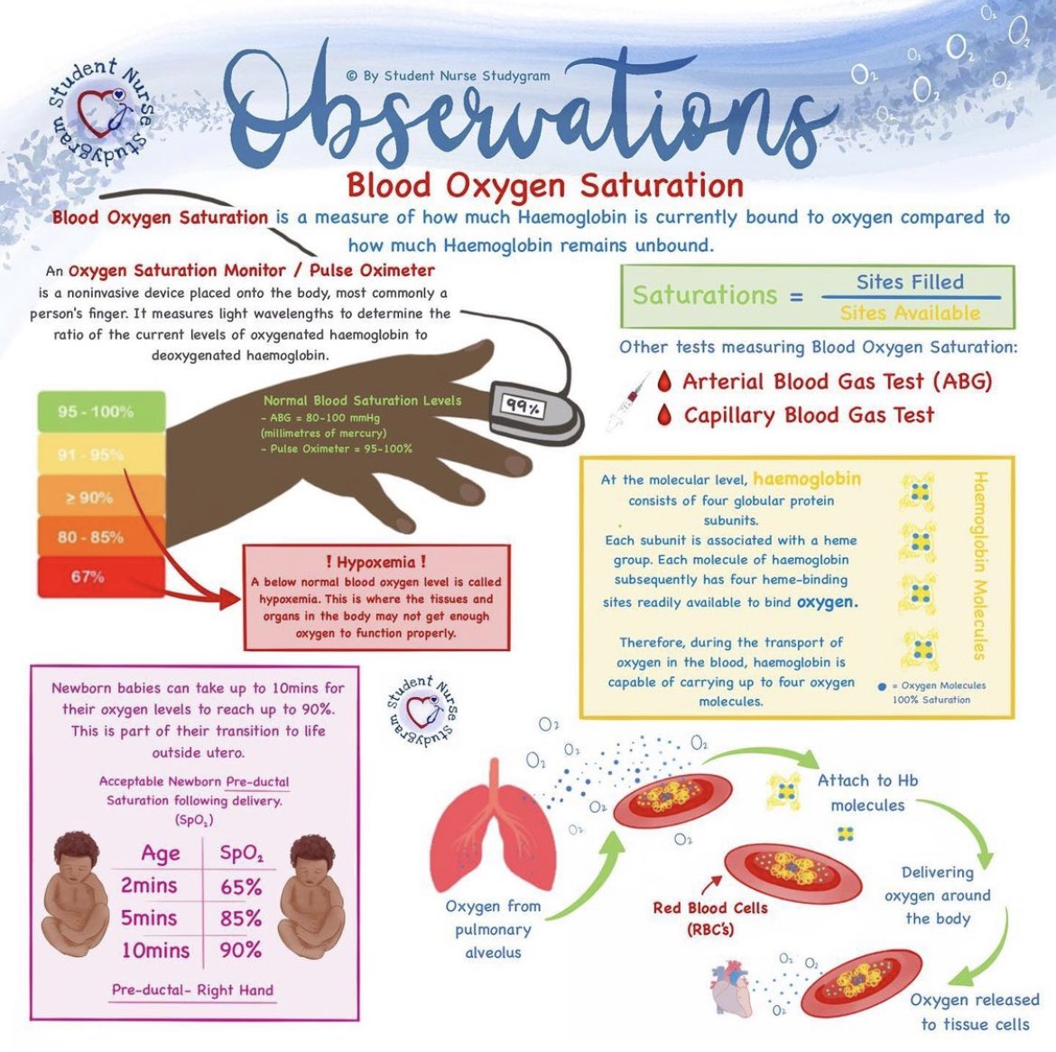 StudentNurseSG's tweet photo. ๐ฉธ Blood Oxygen Levels! ๐ฉธ
#nurse #nursingnursing #nursing #nursingschool #nursingstudent #nursinglife #nurselife #nhsnurses #anatomy #anatomy #doctor #study #studygram #studentnurseuk #studentnurse #studentnurseuk #studentnurses #studentnursetips #studentnursestudytips #nurse https://t.co/688cToNWIF