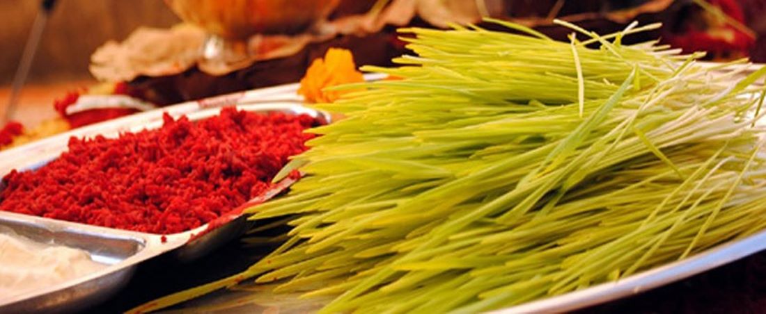 karobar_daily's tweet photo. दसैंघरमा जमरा राखियो
https://t.co/5Ak62Tpvw6
@karobar_daily @ekarobar_daily #dashain #jamara #kept https://t.co/gfvMXYaMWr