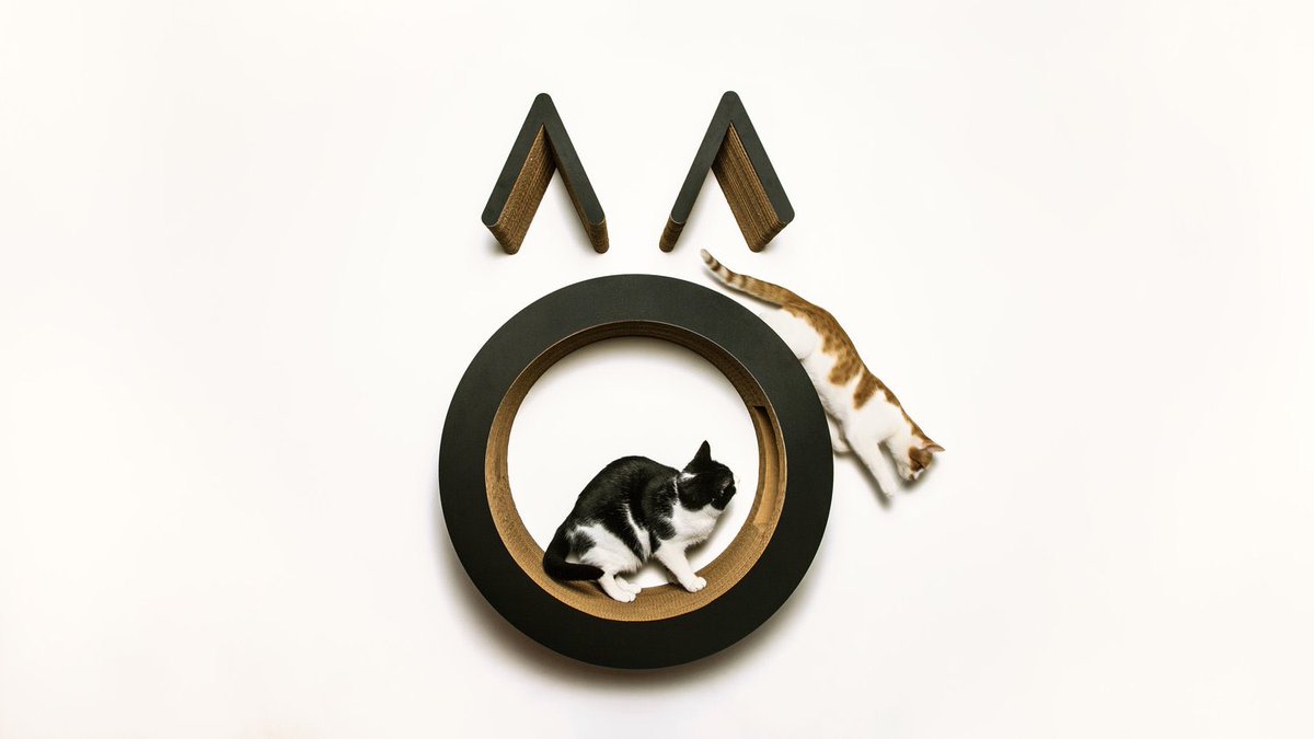 Ben Nichol tweet media