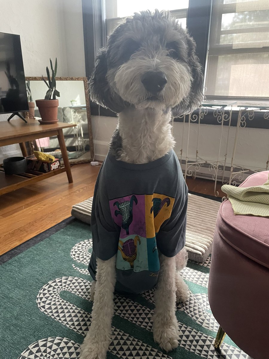 cwheeeeeler's tweet photo. Doesn’t listen to me but is somehow all ears for this @IowaPublicRadio pledge drive https://t.co/bQJvuLD1Rq