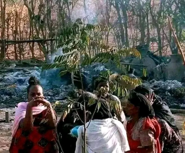Badhe430's tweet photo. Oromoon qulqullun balleessan tokko malee ummata dabaa fi shiraa gaandummaa osoo hin beekin oromummaa isaanitif arsaa kafalan garuu hadhas kanaaf garaan koo naboba'aa . https://t.co/xSz6Nxfelp