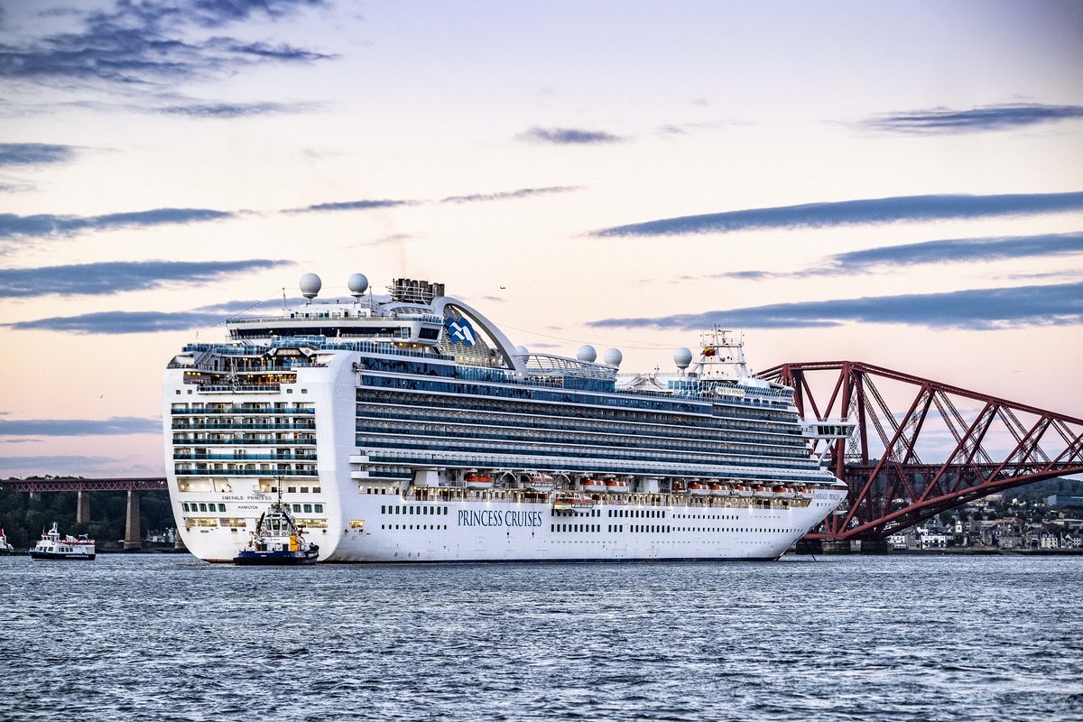 Peter Devlin tweet media