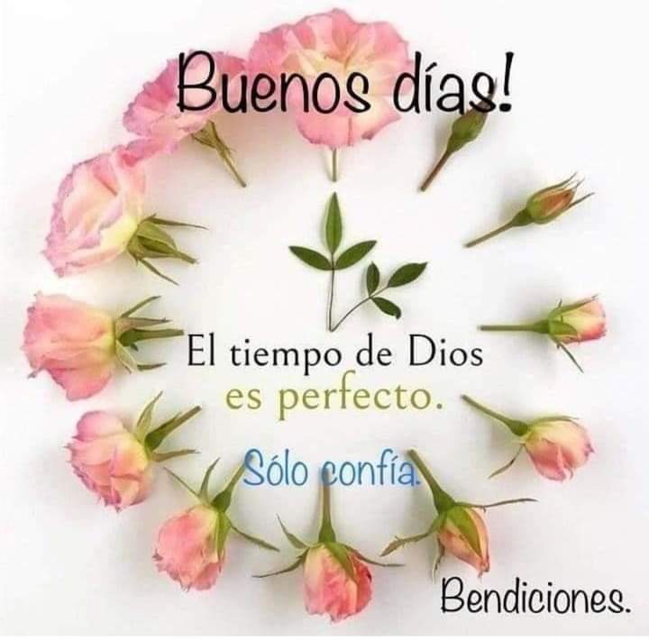Feliz martes 🌺