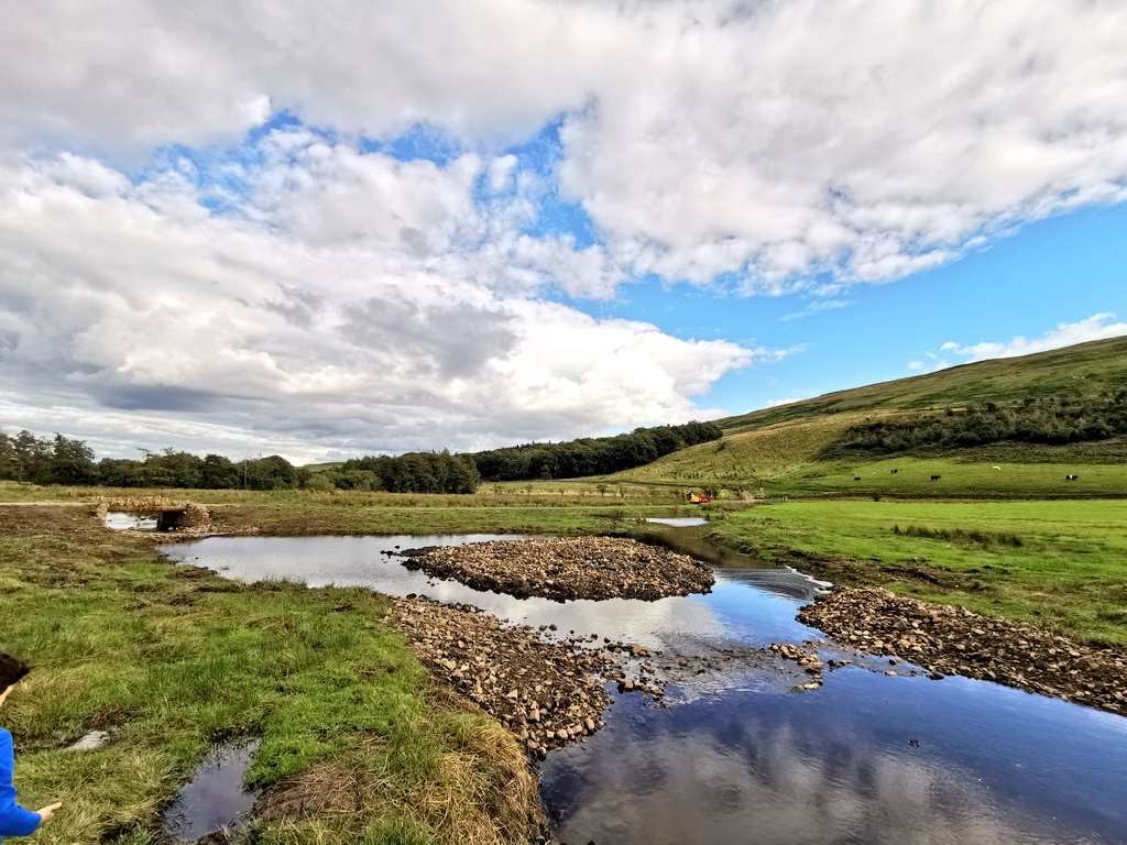 Brilliant to see the transformation of the Howgill Beck at @RSPBEngland Geltsdale at the weekend. A sad little drain restored to a complex, multi-channel, wandering wetland. Hats off to @Dynamic_Rivers, @jen_selvidge and @GeltsdaleRes