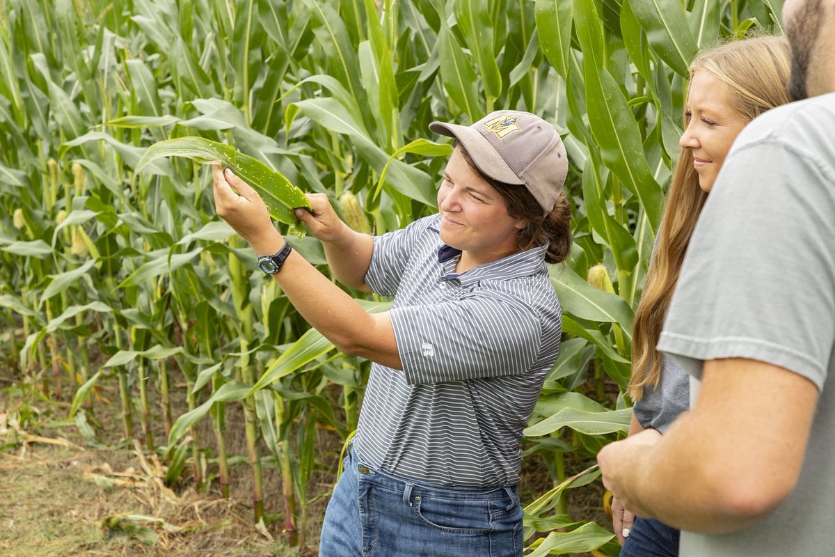 Dr. Taylor and agronomy students are conducting several agronomic research studies!

Read more at:
murraystatenews.org/194877/feature…

#murraystate #agriculture #agronomy #agronomyresearch