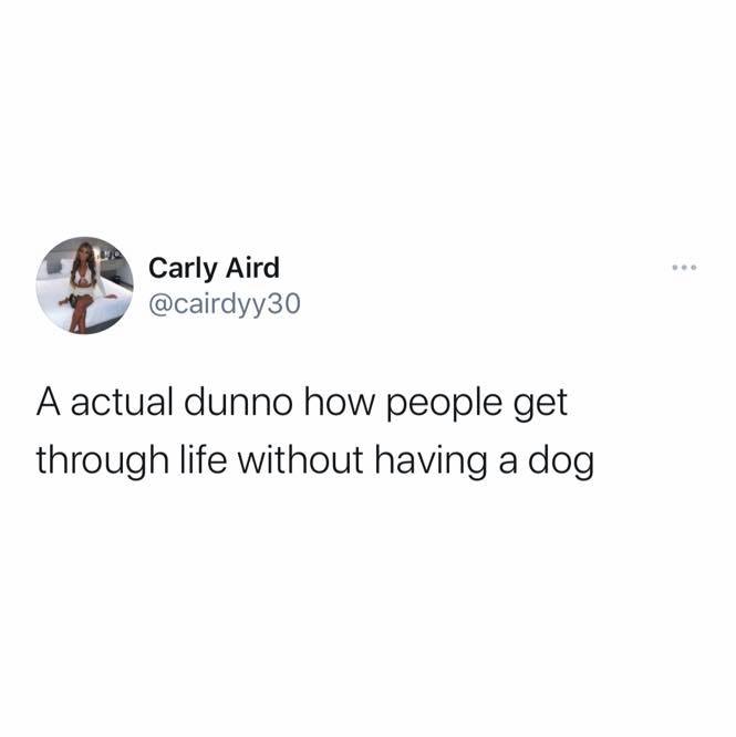OfficialPLT's tweet photo. The best things in life 🐶 https://t.co/MjjT33bbkY