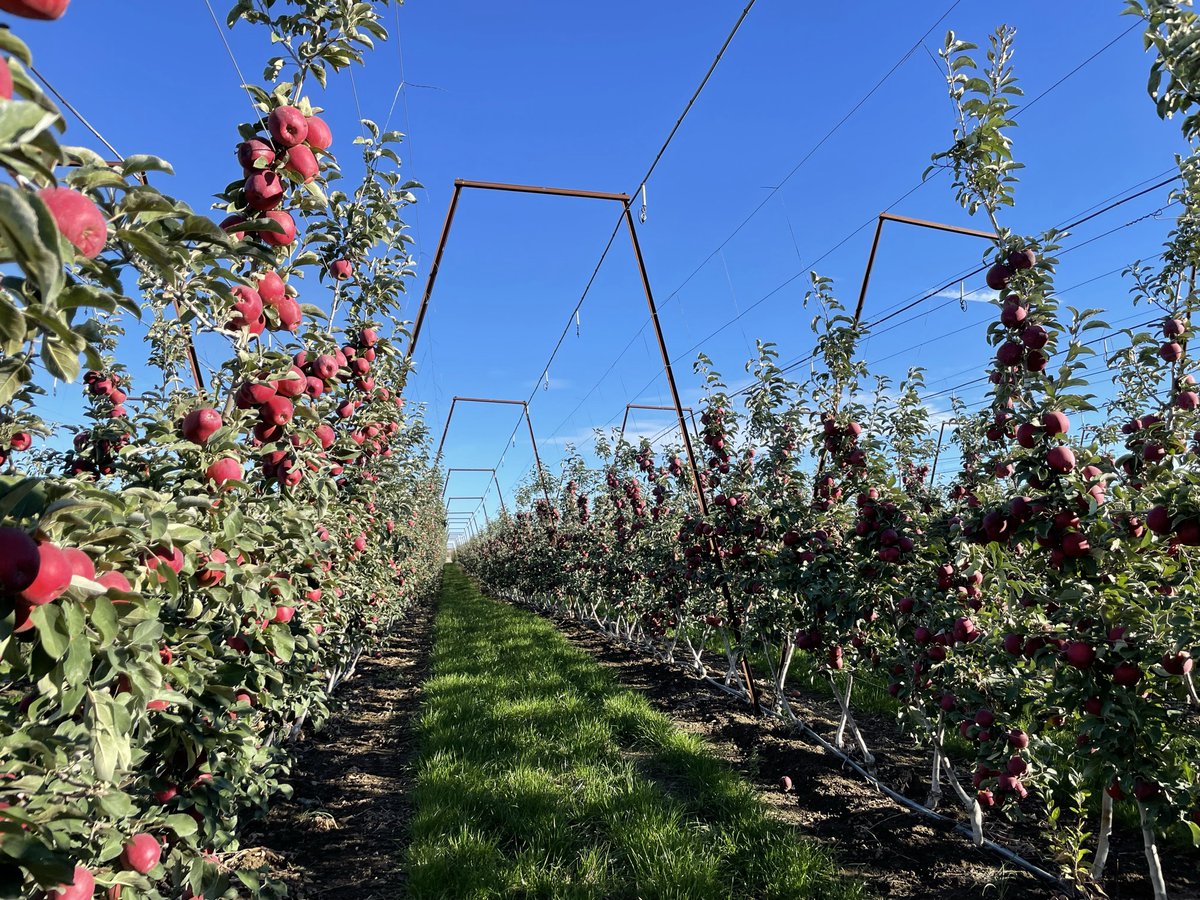 Nelson Irrigation tweet media