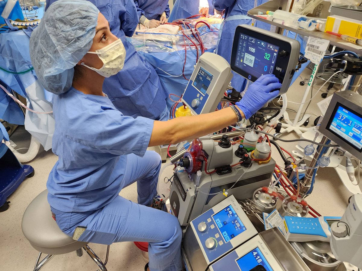 quest_med's tweet photo. Discover how the Quest MPS 3 ND System provides more control, accuracy, safety, and flexibility.

https://t.co/I9KgqwINsD

#perfusion #perfusionist #medicaldevices #perfusionlife #cardiacsurgery #heartsurgery #cardiac #heart #cardiovascularperfusion #heartsurgeon https://t.co/XHd9pNmqFh