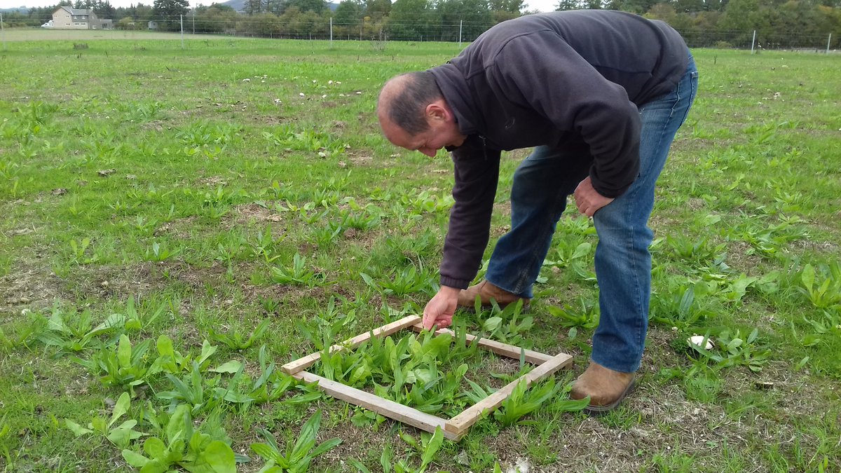 Assessing establishment of multi-species swards at Lemmington Hill Head, Northumberland with Steve Hadden. Thanks to @JamesADrummond for setting up the range of establishment techniques and timings @H2020SuperG #demo #roadtesting