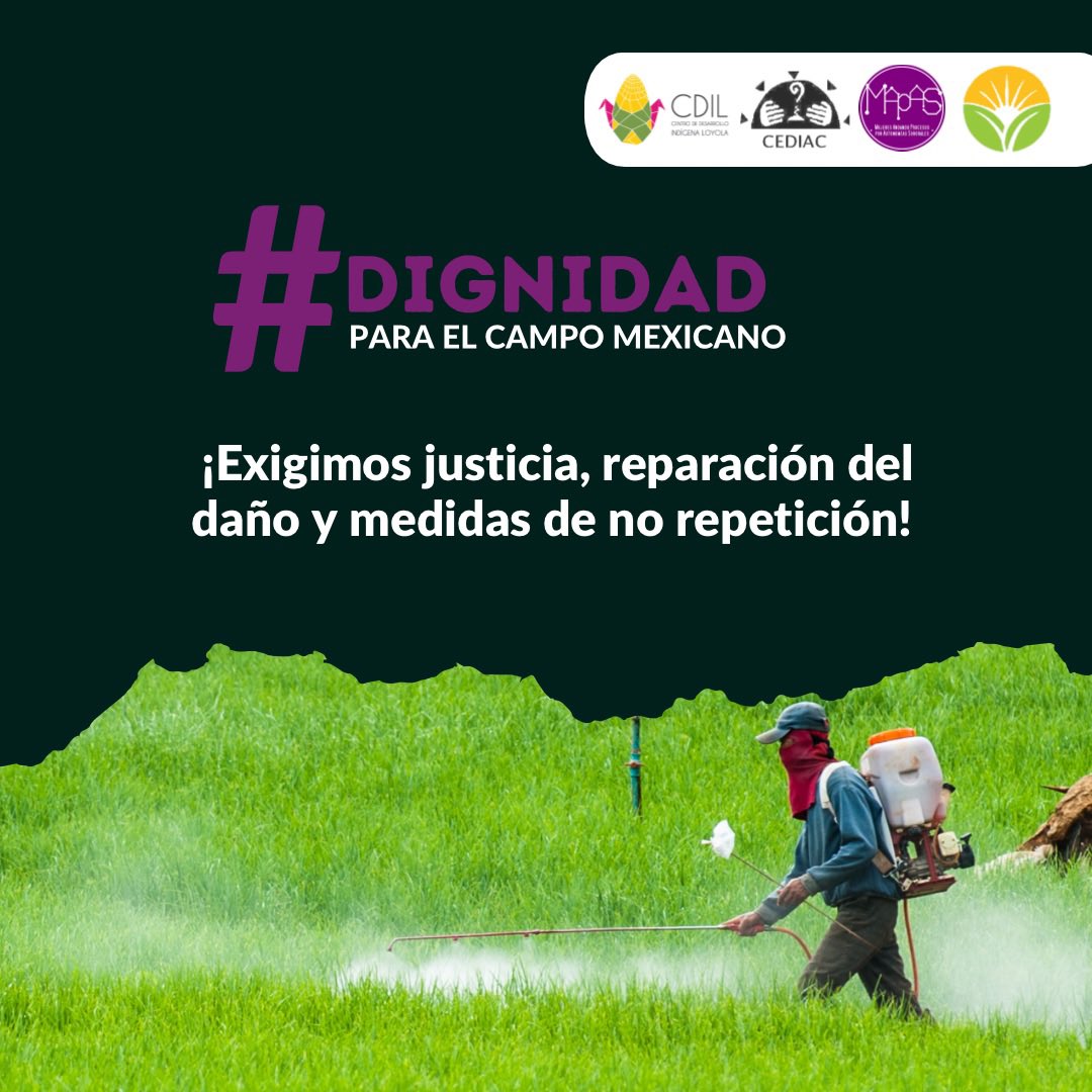 Centro de Desarrollo Indígena Loyola tweet media