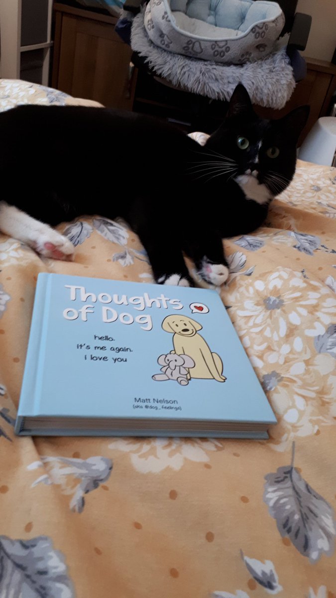 laurashimmon_'s tweet photo. @dogfather @dog_feelings I thought you should know that I've been reading your book to my cat, I show her the pictures and she seems very interested in it. I also love the book 😊
#helloitsmeagainiloveyou
#thoughtsofdog https://t.co/iydvMyGdKk