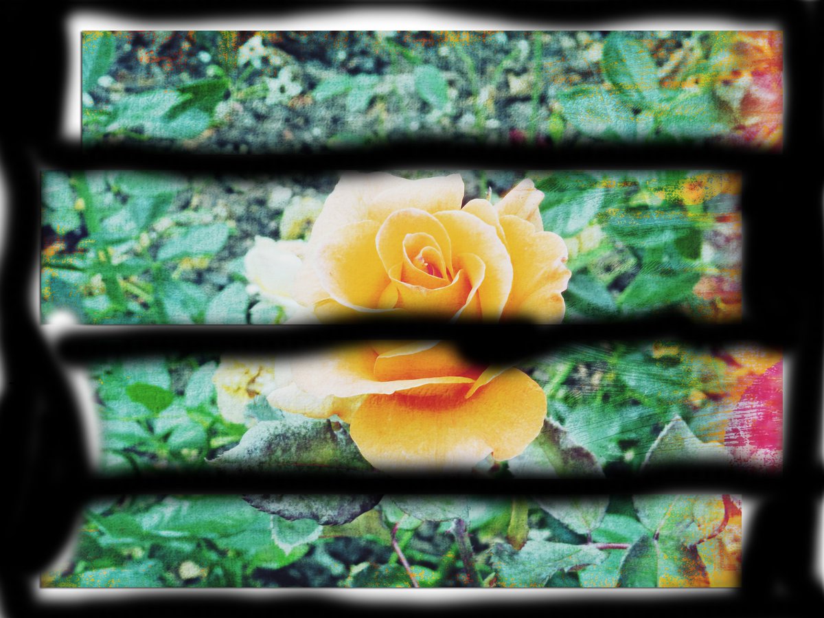 BromsPrep's tweet photo. Week 4 of Prep School Photography Club and the pupils are making great progress with their shots. #BromsClubs #BromsPhotoClub #SchoolActivities https://t.co/jZDChEu3tW