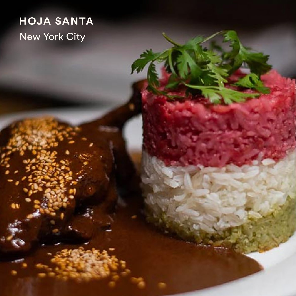 Classic Mexican cuisine gets an immaculate modern interpretation at Astoria’s Hoja Santa. Book on Seated and get rewarded today 🪑✨ #hispanicheritagemonth