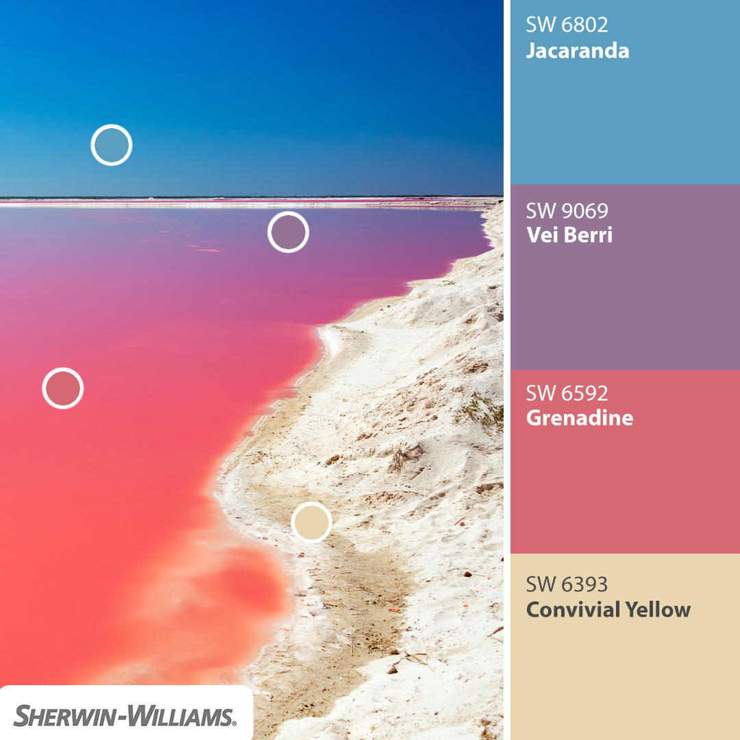 Sherwin-Williams tweet media