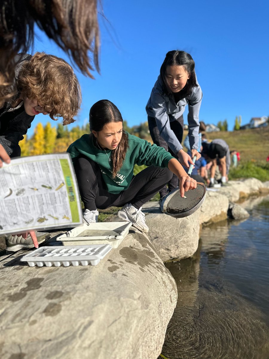 insideeducation's tweet photo. We are NOT minding this early fall weather for our #wetlands field trips, gotta say. Made possible by the support of @NSERC_CRSNG #PromoScience, @AB_Enviro, @landstewardship we are having a blast with the Gr. 8s from @rundlecollege. https://t.co/rQg57ekAZx
