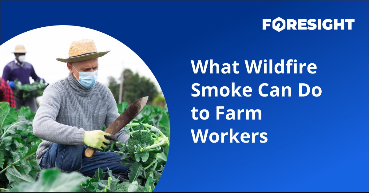 Foresight Commercial Insurance tweet media