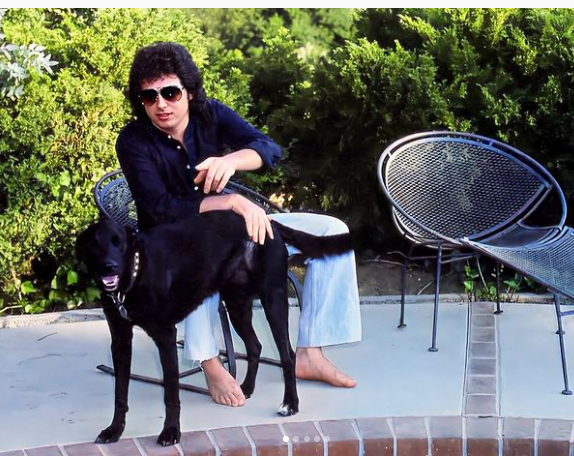 TinaLouise2022's tweet photo. Steve Lukather photo shoot at his Los Angeles home for Young Guitar Magazine, 1982.
Pictures restored by @ricksmusic34 on Instagram
Photographer unknown

#toto #totoband #totoiv #stevelukather #youngguitar #youngguitarmagazine #NineteenEightyTwo https://t.co/GzpfgqyHL7