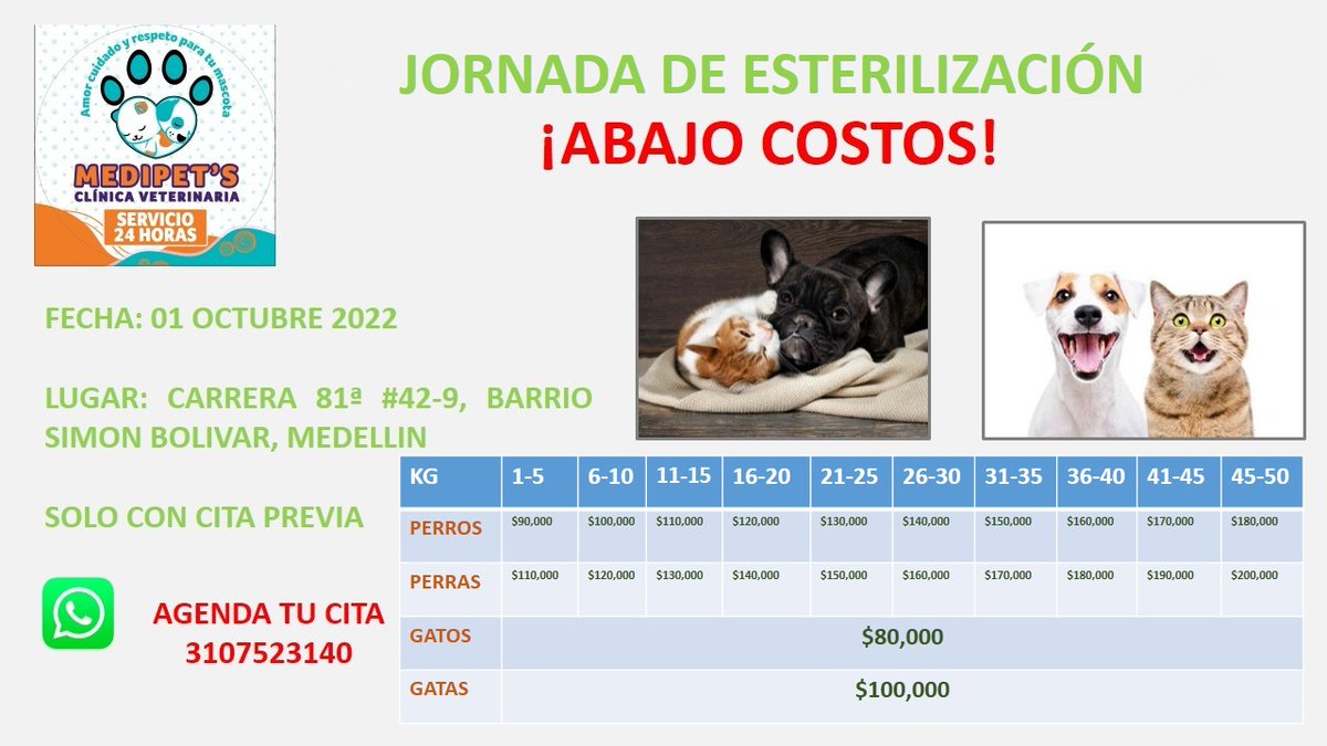 ClinicaMedipets's tweet image. Jornada de esterilización a bajo costo. Si es posible trae los exámenes prequirúrgicos o nosotros se los realizamos para tener mayor seguridad durante el procedimiento. No exigimos los exámenes, si tu mascota tiene más de 3 años o ha tenido enfermedades recientes se deben traer.