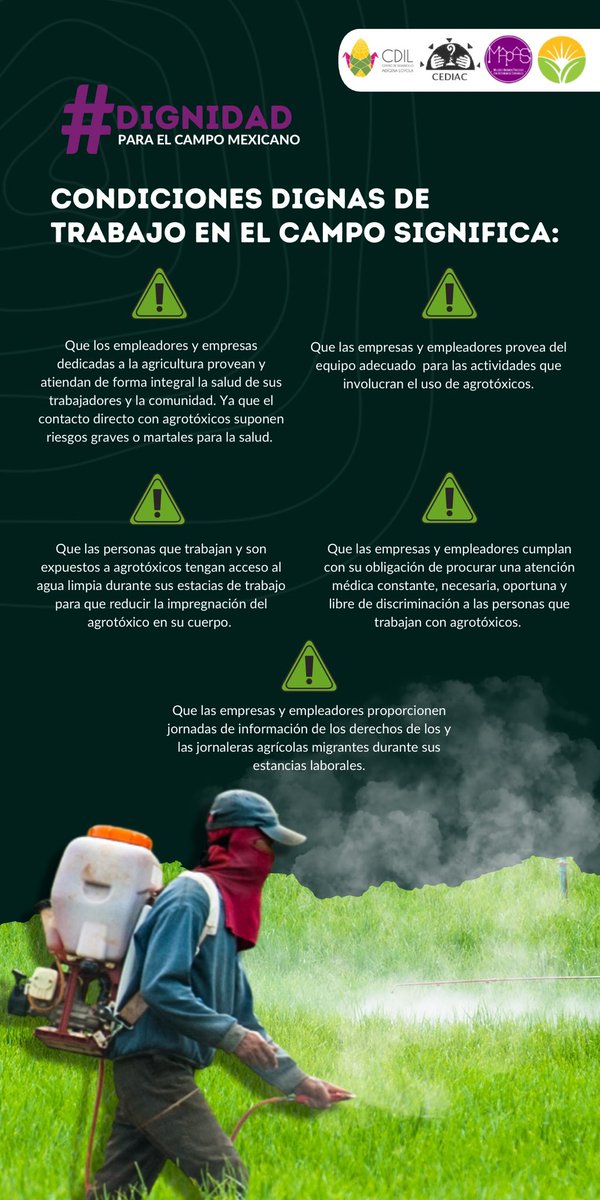 Centro de Desarrollo Indígena Loyola tweet media