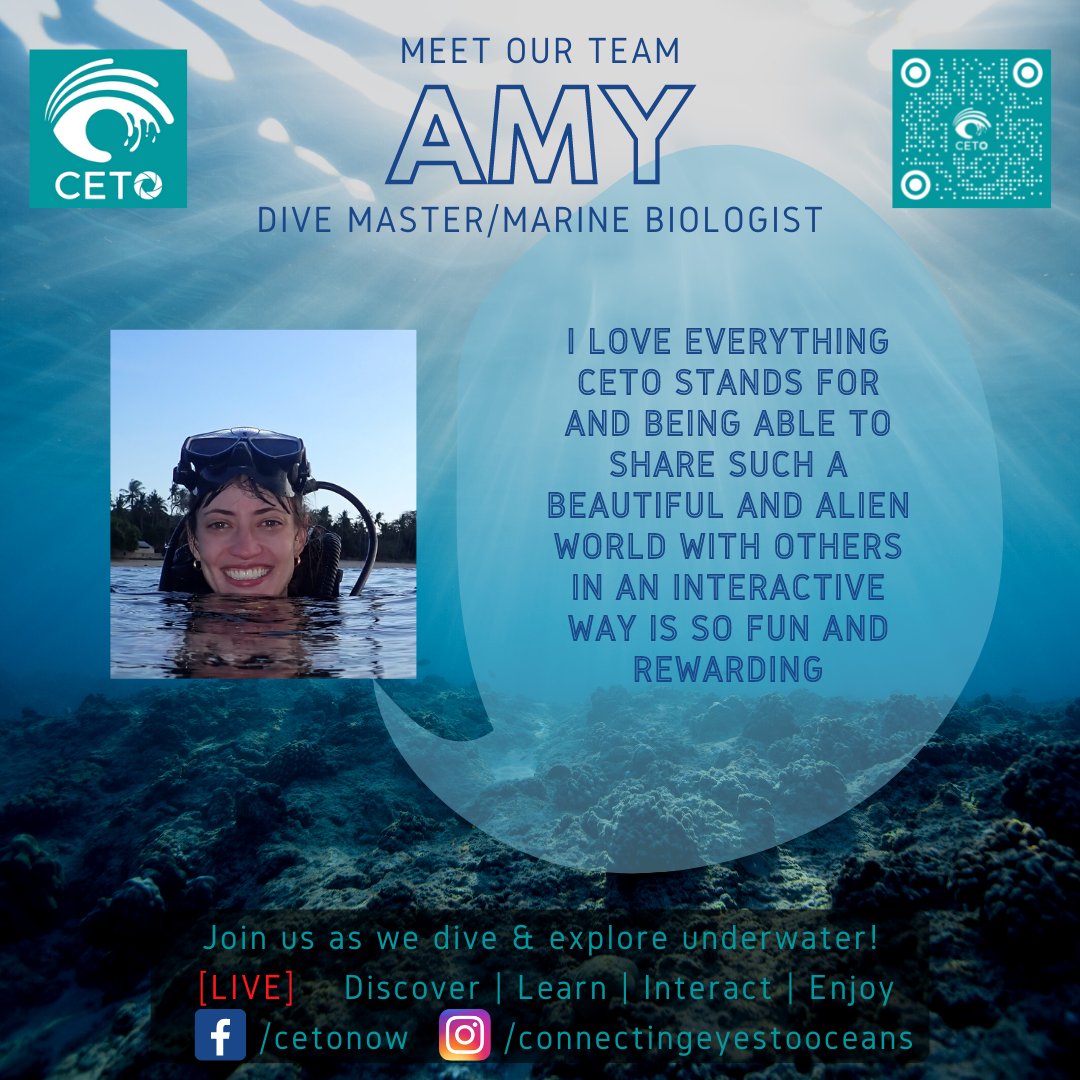 CETO - Connecting Eyes To Oceans tweet media
