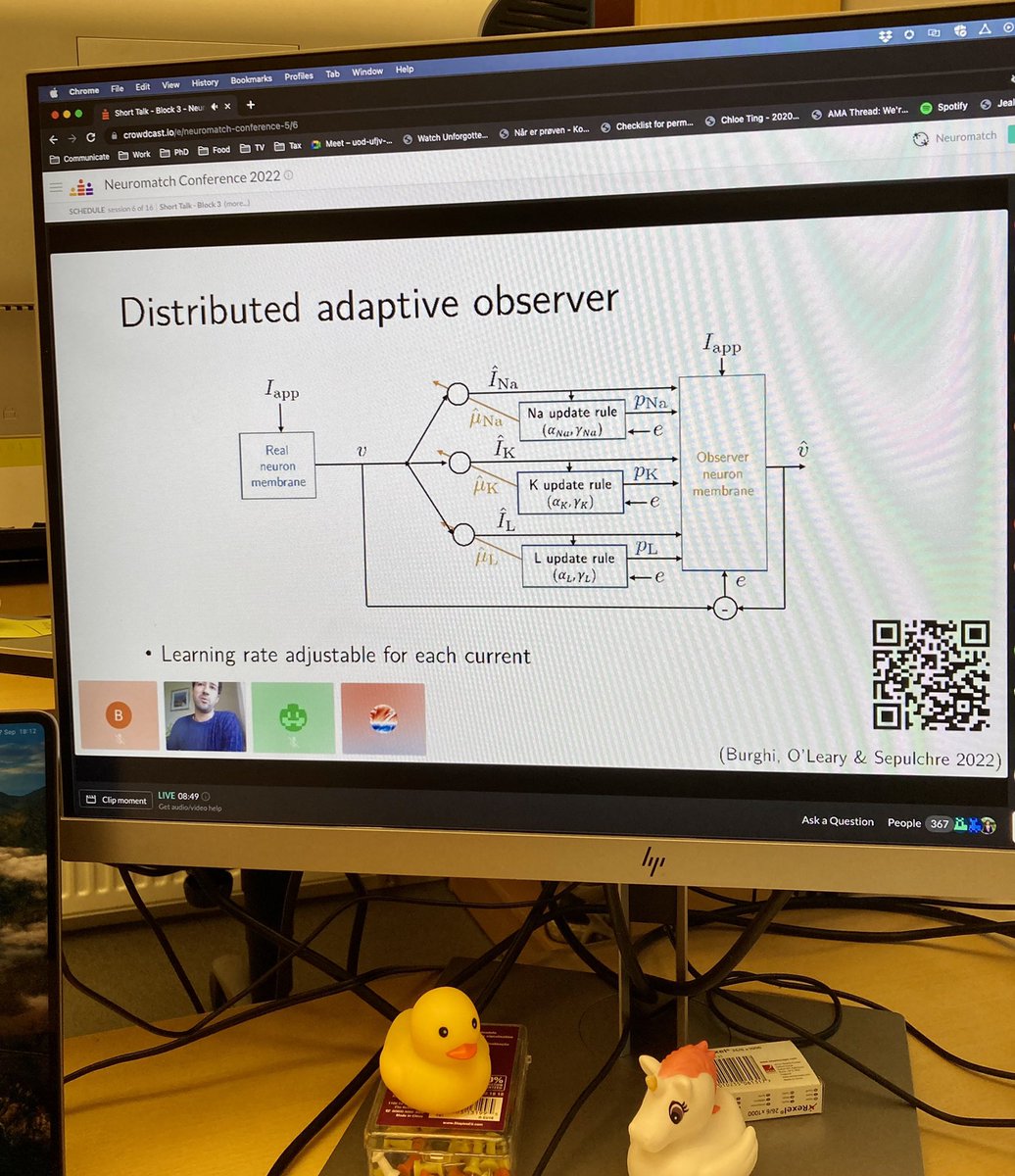Kristine Heiney, PhD (@krisheiney) on Twitter photo Great <a href="/neuromatch/">Neuromatch</a> talk by <a href="/ThiagoBurghi/">Thiago Burghi</a> on using adaptive observers for real-time estimation of conductance-based neural dynamics, in both single neurons and networks of neurons. A very cool and useful intersection of control theory and neuroscience! Great <a href="/neuromatch/">Neuromatch</a> talk by <a href="/ThiagoBurghi/">Thiago Burghi</a> on using adaptive observers for real-time estimation of conductance-based neural dynamics, in both single neurons and networks of neurons. A very cool and useful intersection of control theory and neuroscience!