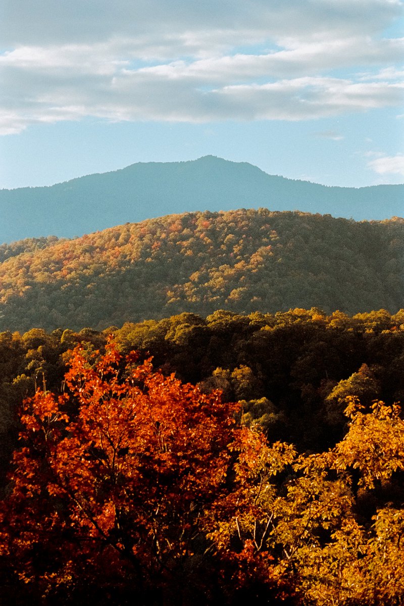 johncwingfield's tweet photo. A sea of gold in the Blue Ridge Mountains https://t.co/ZakEnZuiRc