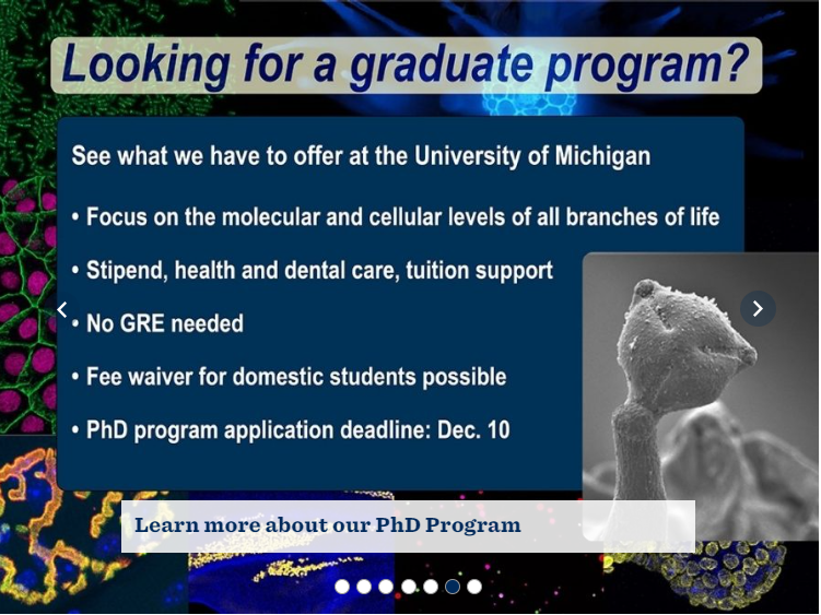 Our <a href="/UMich_MCDB/">MCDB Michigan</a> department is now accepting applications for our PhD program! 

DUE Dec 1st!

Financial support includes stipend, tuition, &amp; health insurance for you, spouse &amp; dependents. 

Click here for details: lsa.umich.edu/mcdb/graduate-…

Or DM me!