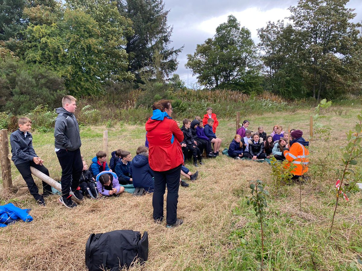 LochnorrisPrim1's tweet photo. P6T were monitoring and measuring trees as part of their outdoor learning session. @mathsweekscot #MathsWeekScotland  #MathsInContext https://t.co/sa3op91Omv