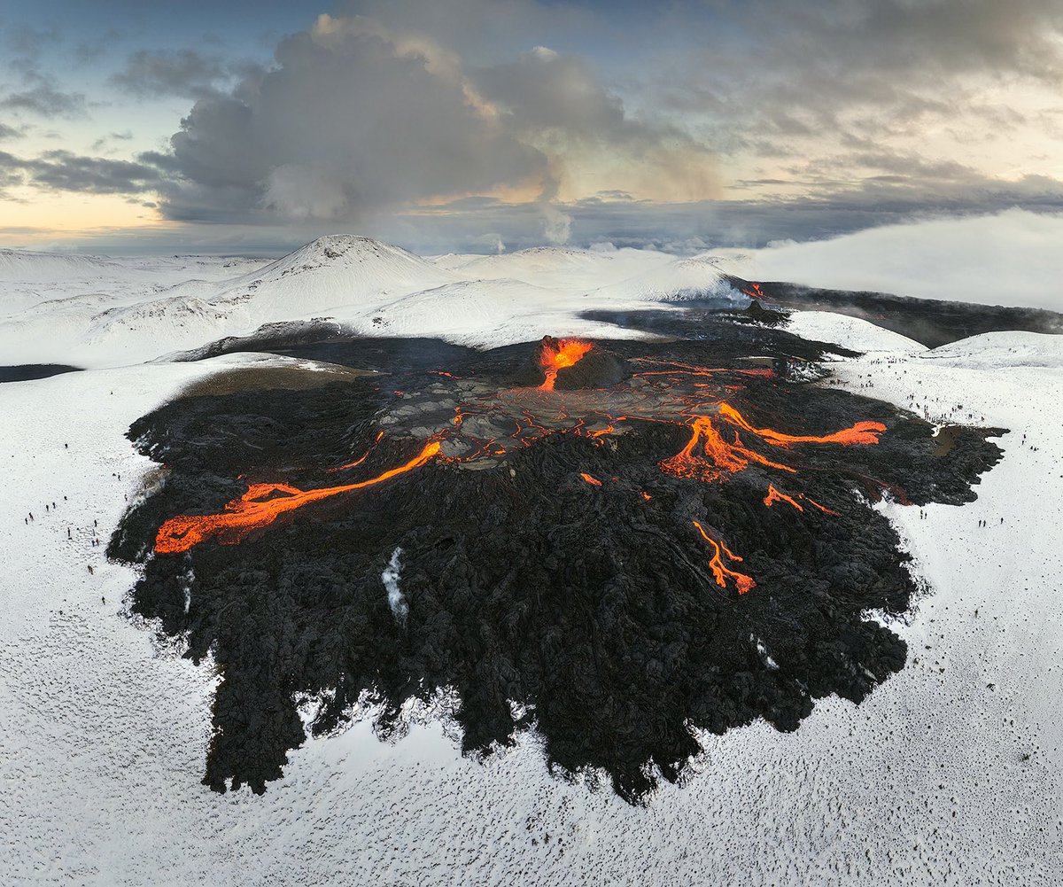 iurie Belegurschi tweet media