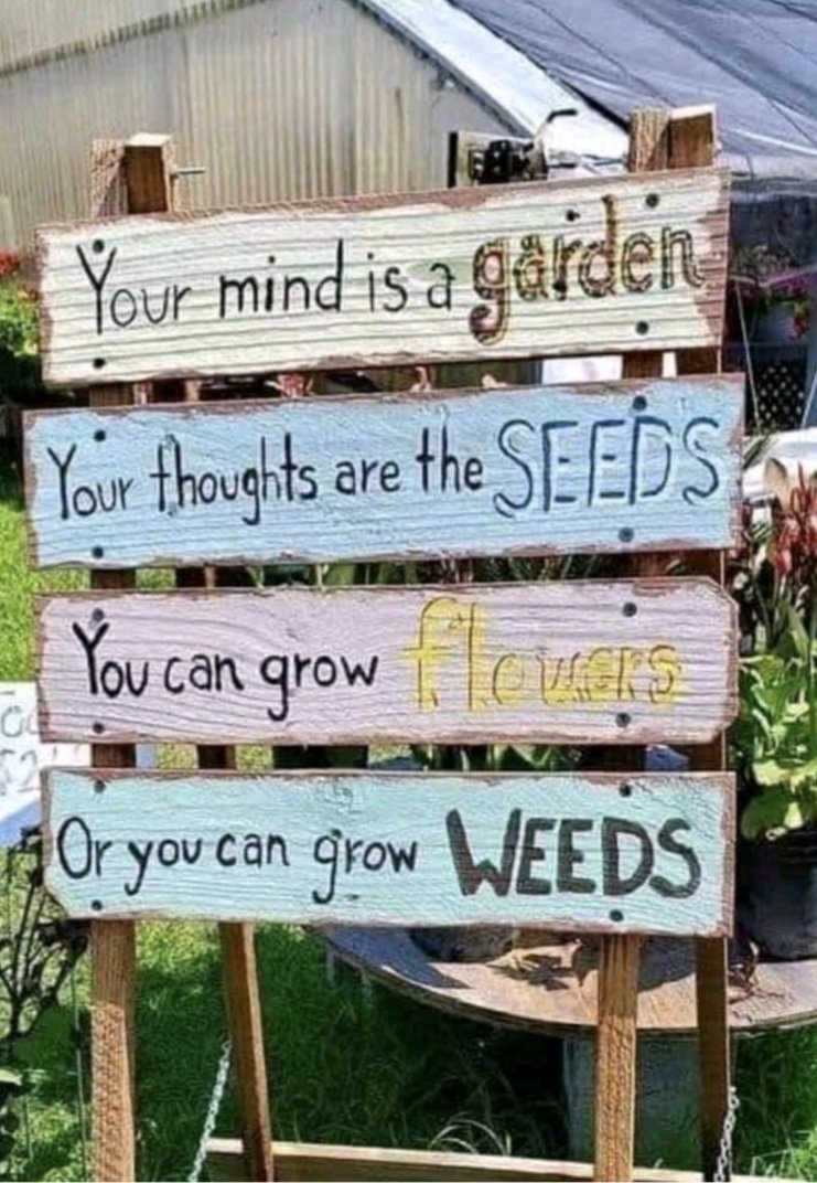 Nazia Fitzpatrick tweet media