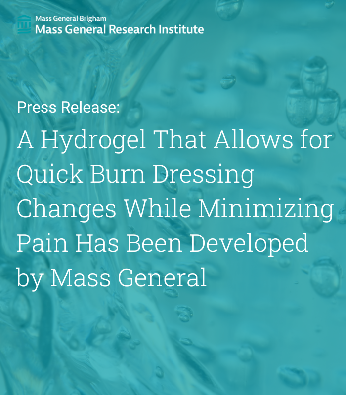 MGBResearchNews's tweet photo. In a recent @BioactiveMat publication, researchers from @MGHSurgery developed a hydrogel that allows for quick burn dressing changes while minimizing pain.

Read more: https://t.co/kja26Z94gH
@ustaosma @AyseAsatekin @AslihanGokaltun @MassGeneralNews @CEMatMGH https://t.co/i4g8xA8V1l