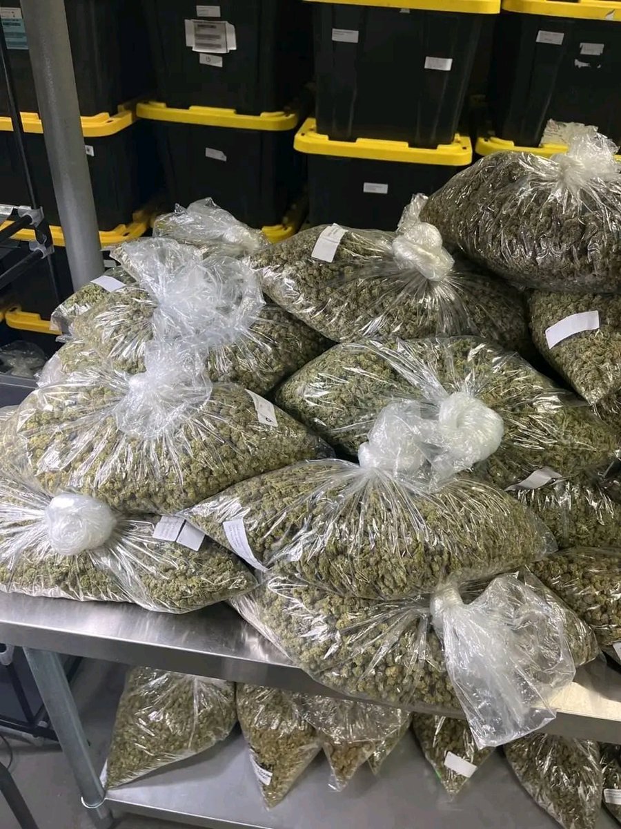 All quantities we got on deck